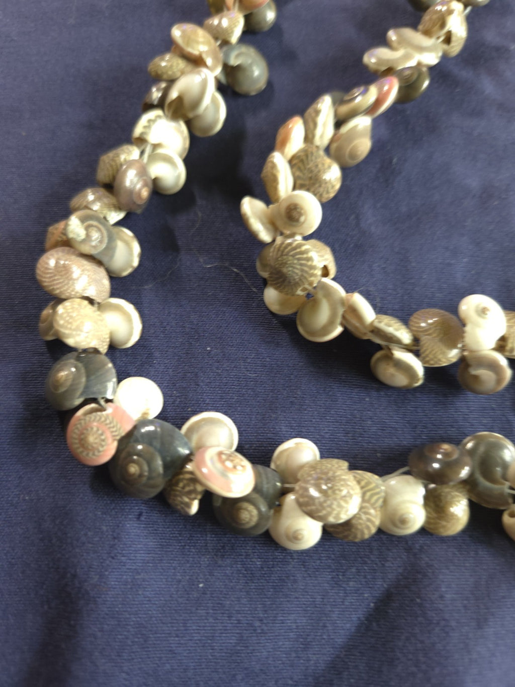 Vintage Estate Jewelry - Seashell Necklace 36" Pullover Mini Conch Shells