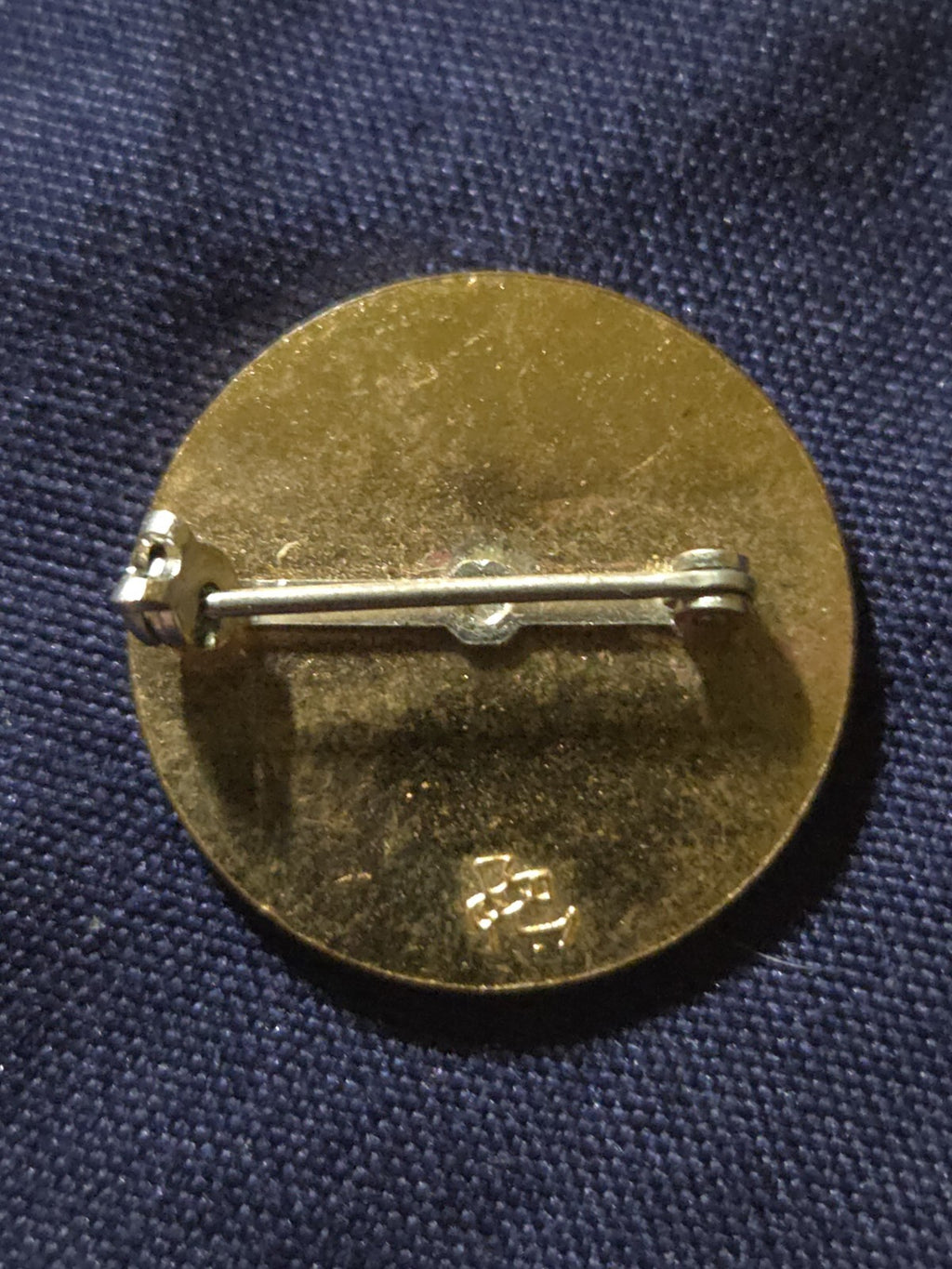 1950's Girl Scouts The World Association of Girl Guides &nGirl Scouts WAGGGS PIN