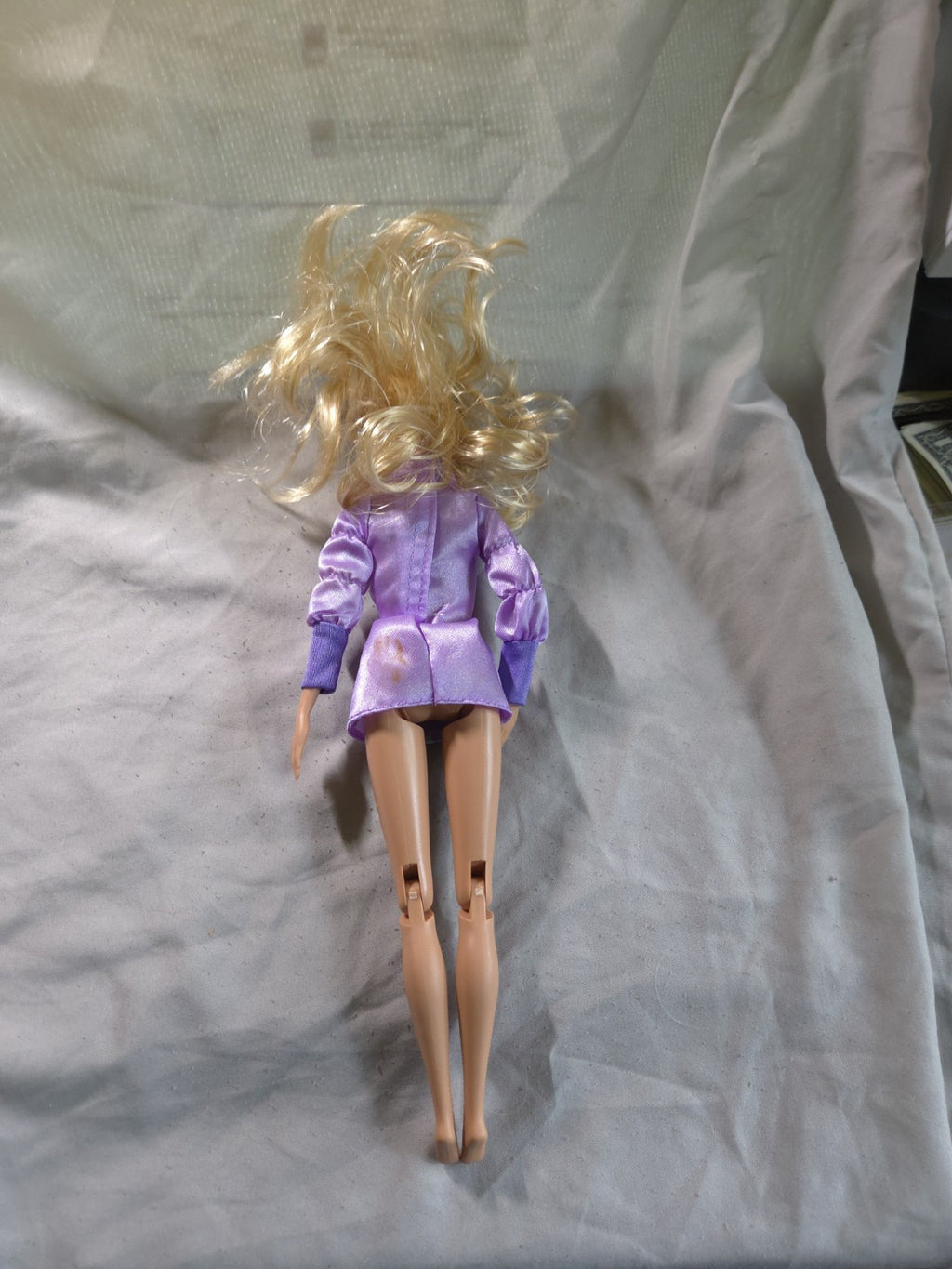Barbie I Can Be Arctic Rescue Doll in her original purple jacket (No Pants)