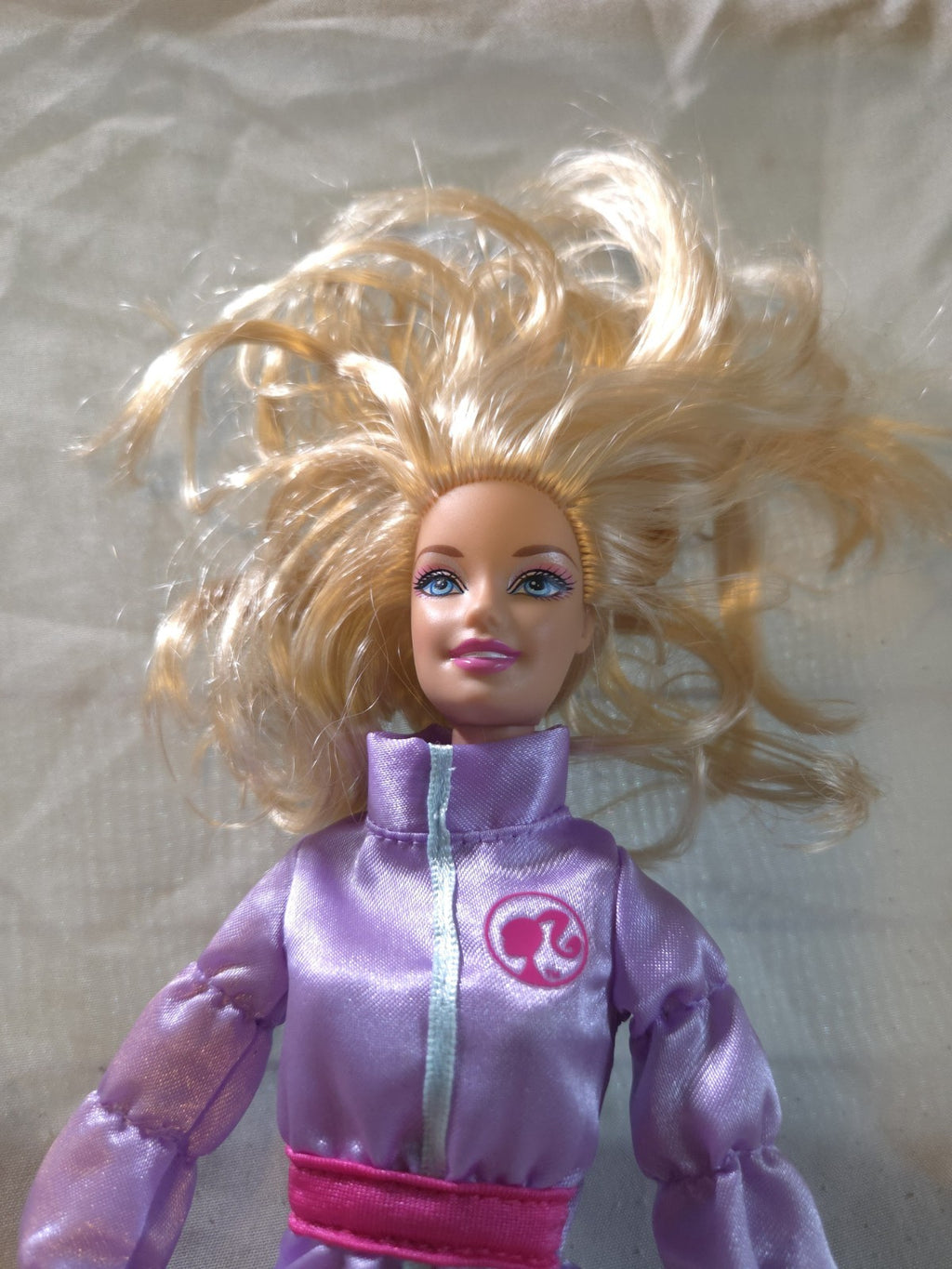 Barbie I Can Be Arctic Rescue Doll in her original purple jacket (No Pants)