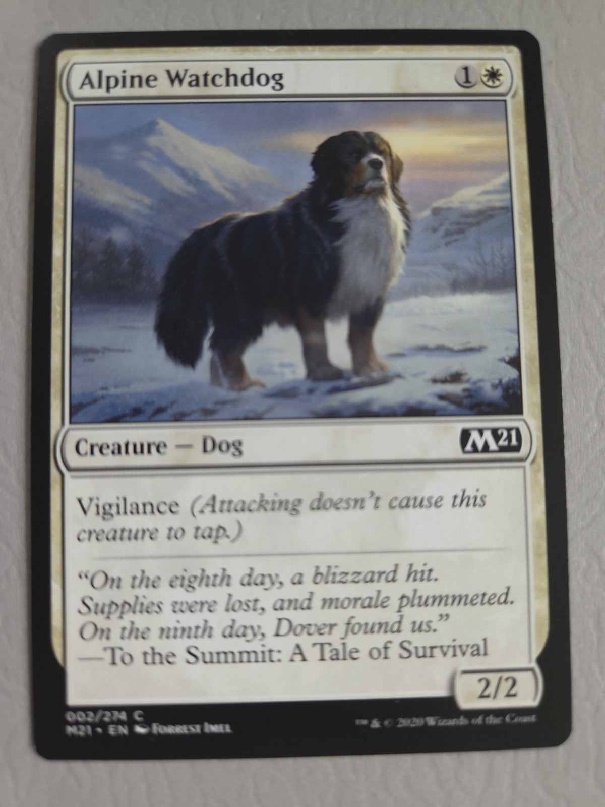 MTG - Alpine Watchdog - Core Set - 2021 - Regular - C - 2 - NM