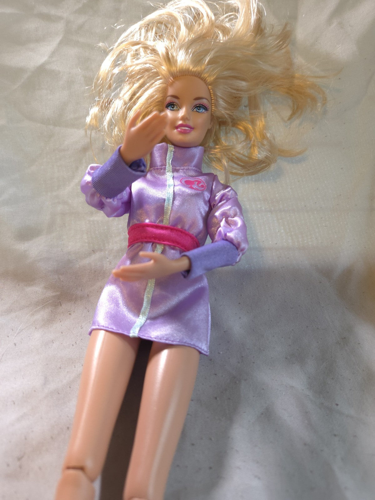 Barbie I Can Be Arctic Rescue Doll in her original purple jacket (No Pants)