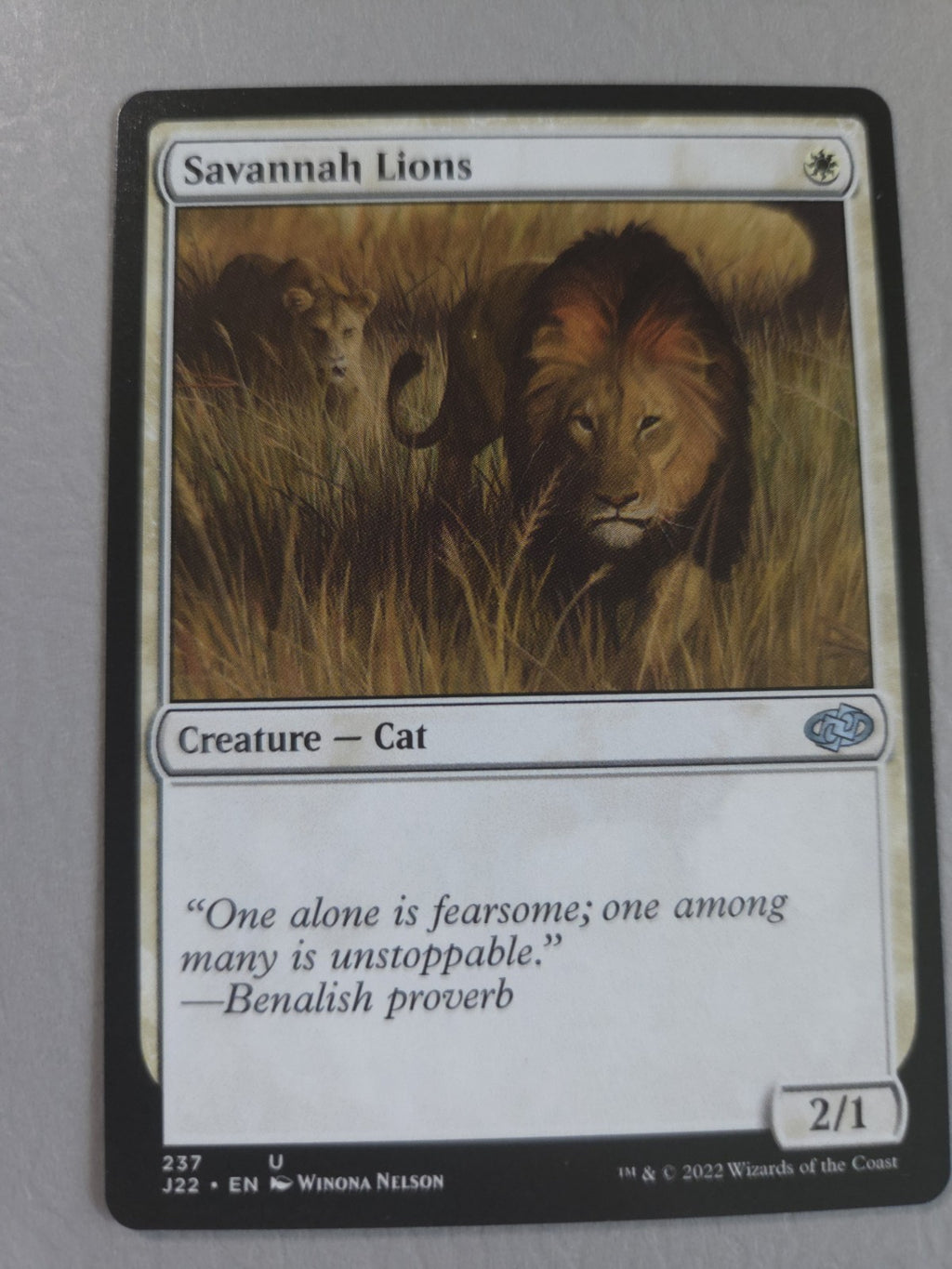 MTG - Savannah Lions - Jumpstart 2022 - Regular - U - 237 - NM