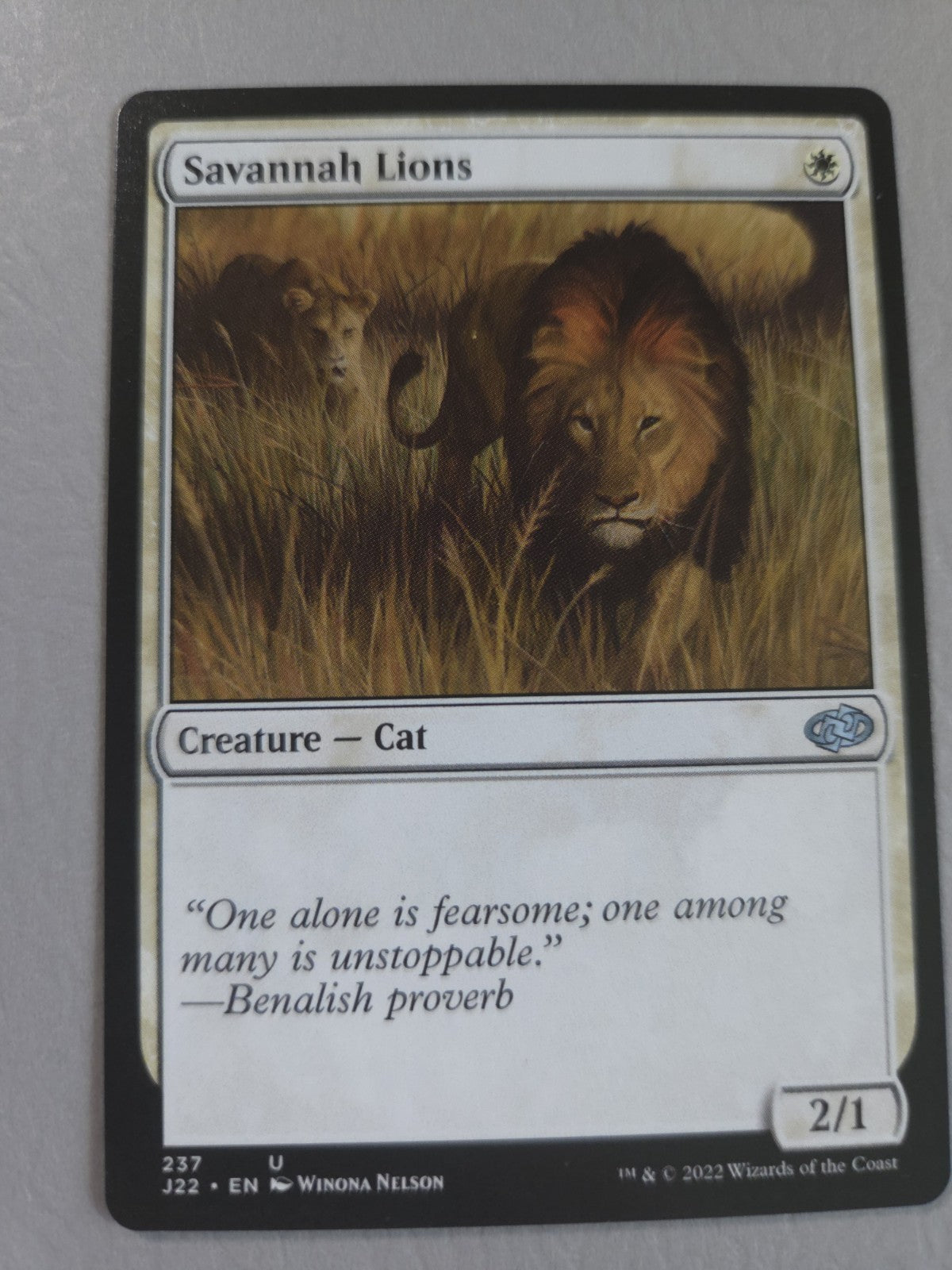 MTG - Savannah Lions - Jumpstart 2022 - Regular - U - 237 - NM