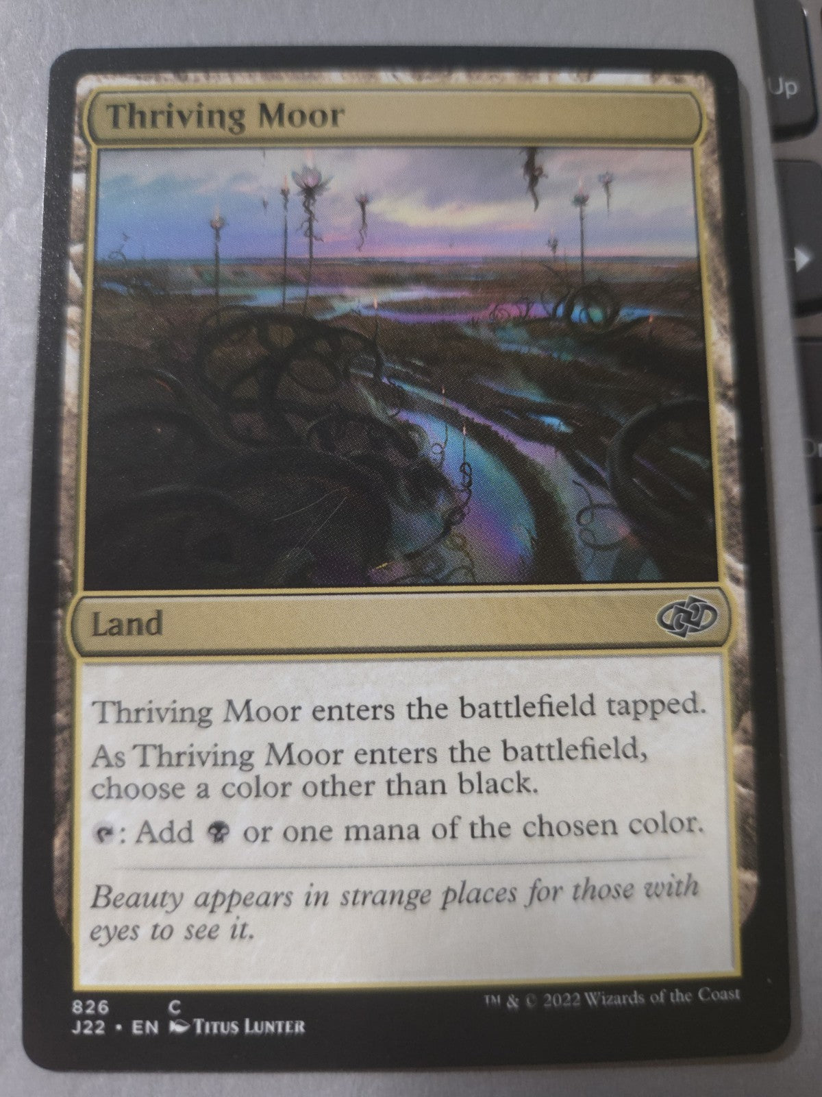 MTG - Thriving Moor - Jumpstart 2022 - Regular - C - 826 - NM