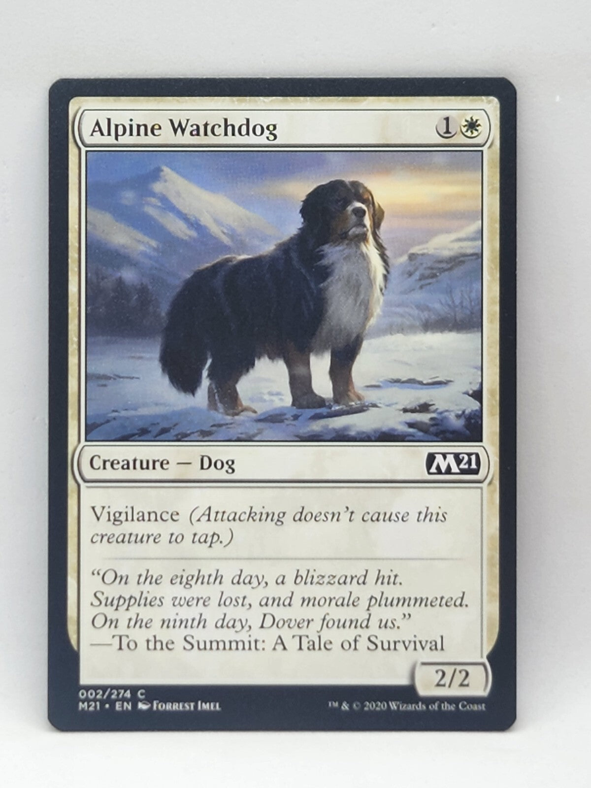 MTG - Alpine Watchdog - Core Set - 2021 - Regular - C - 2 - NM